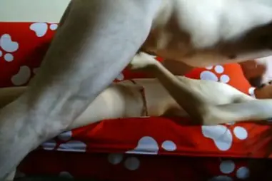 ABG Bispak Jakarta ML Hotel Viral Skandal Full HD